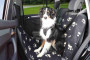 Couverture pour chien