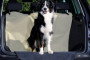 Protection coffre chien
