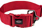 Collier gros chien