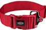 Collier gros chien