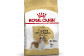 Croquettes pour chien
