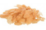 Friandise pour chaton