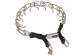 Collier torquatus