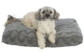 Matelas orthopédique chien