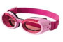 Lunettes pour chien
