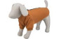 Pull pour chien