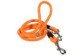 Laisse pour chien
