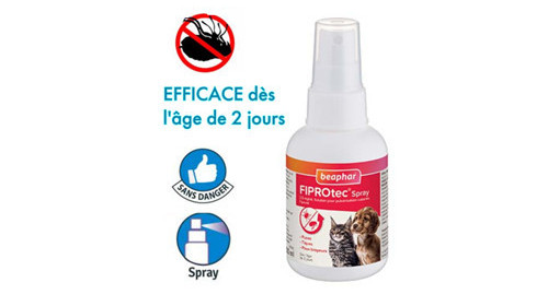 Spray anti puce, bombe chien, spray Frontline