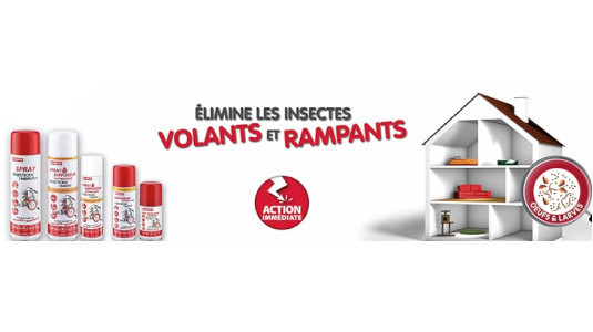 Fumigène anti puce : Traitement de la maison