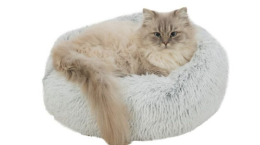 Comment choisir un couchage pour son chat ?