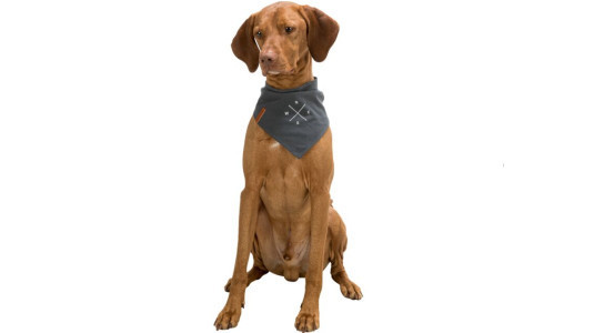 Quels sont les différents bandanas pour chien ?