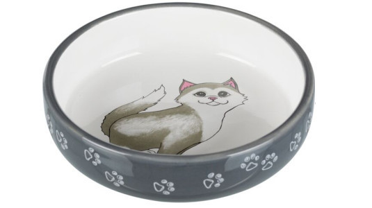 Pourquoi choisir une gamelle en céramique pour chat