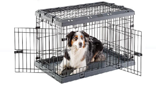 Facilement transportable : la cage pliable pour votre chien