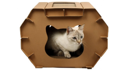 La maison en carton, la cabane préférée des chats !