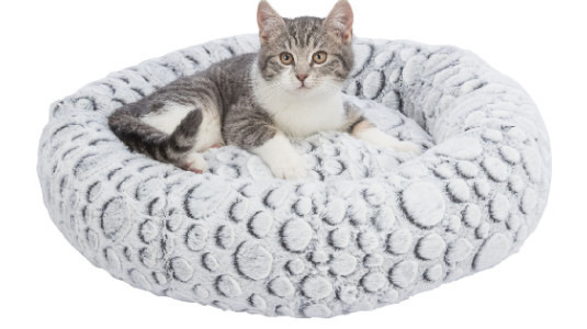 Quelles sont les formes de lits pour chat ?