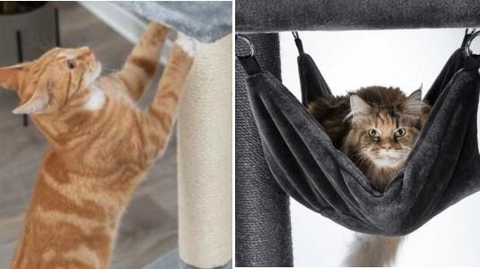 L'arbre à chat l'accessoire le plus vendu pour les chats