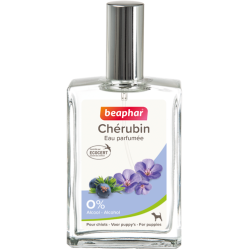 Parfum Cherubin pour chiot
