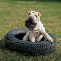 Jouet KONG extreme Tyres Pneu