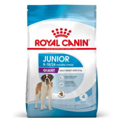 Croquettes Giant Junior