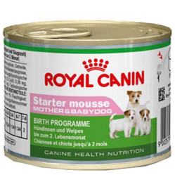 Starter Mousse Mère Chiot