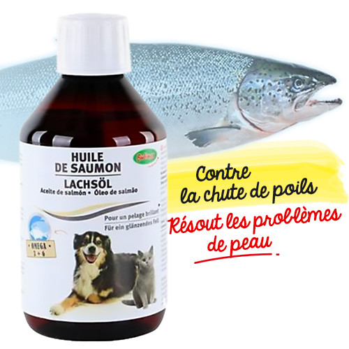 Les bienfaits de l'huile de saumon pour votre chien - BuddyBites
