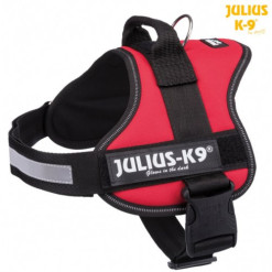 Harnais Julius-K9 Power rouge