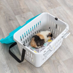 Cage de transport chat et chien Midi-Capri