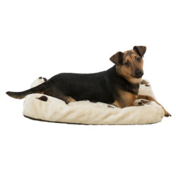 Coussin Gino