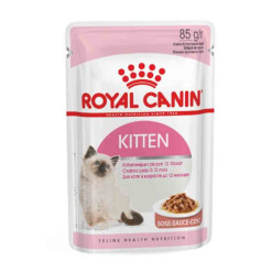 Kitten Instinctive en sauce