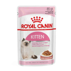 Kitten Instinctive en sauce
