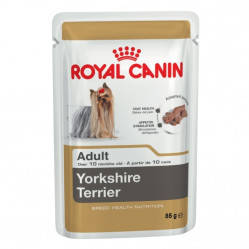 Pâtée Yorkshire Terrier Adulte