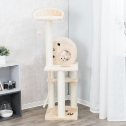 Grand Arbre à chat : 138 cm XXL Géant Salamanca