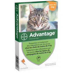 Advantage pour chat et lapin de moins de 4 kg