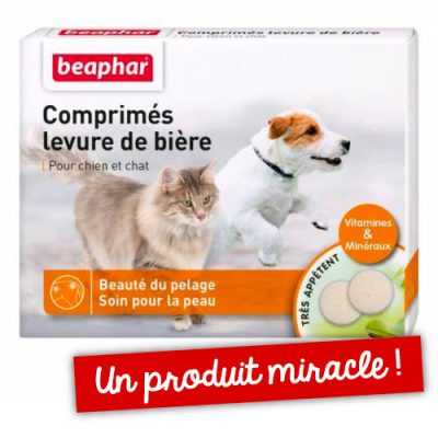 Boite2.jpg