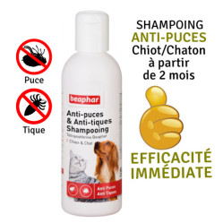 Shampoing anti puce chien, chat, chiot, chaton Tétraméthrine