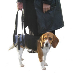 Harnais de soutien Handis Canis