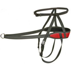 Ceinture Canicross Speed rouge
