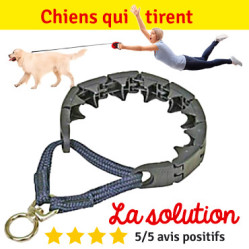 Collier de dressage Triple Crown