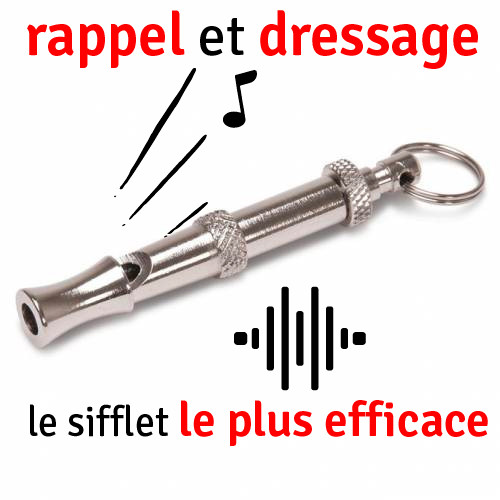 Sifflet Ultrason Pour Chien + Rappel