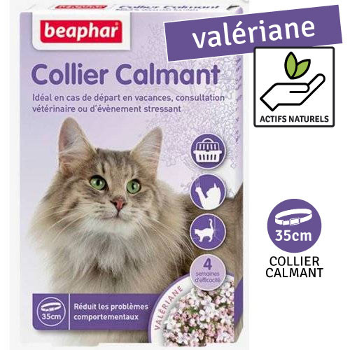 Les meilleurs coussins de Valériane pour chat - Chat-Valeriane