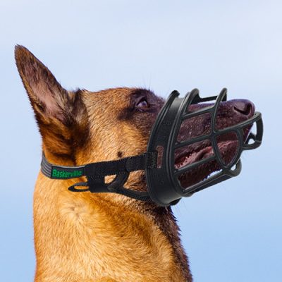malinois-musel.jpg