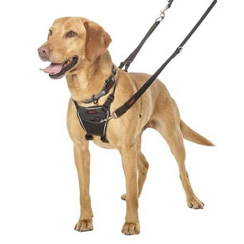 Harnais Chien Anti-traction  EasyWalk™ – Lucky & family