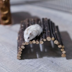 Pont en bois pour cochon d'Inde et chinchilla