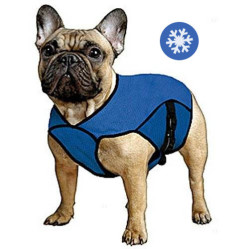 Manteau rafraîchissant bleu