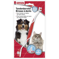 Brosse à dents Beaphar chien et chat