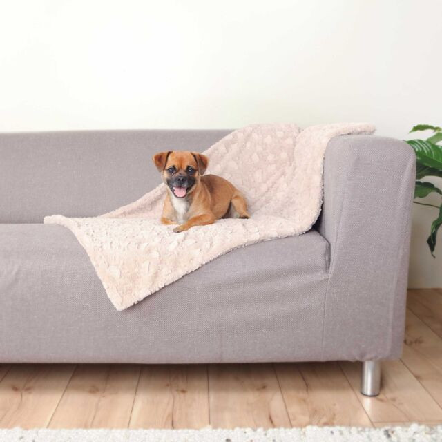 Plaid confortable pour chien BERDA™ – BERDAQUEBEC