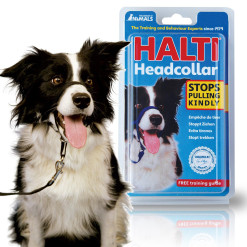 Collier de dressage Halti Taille 2