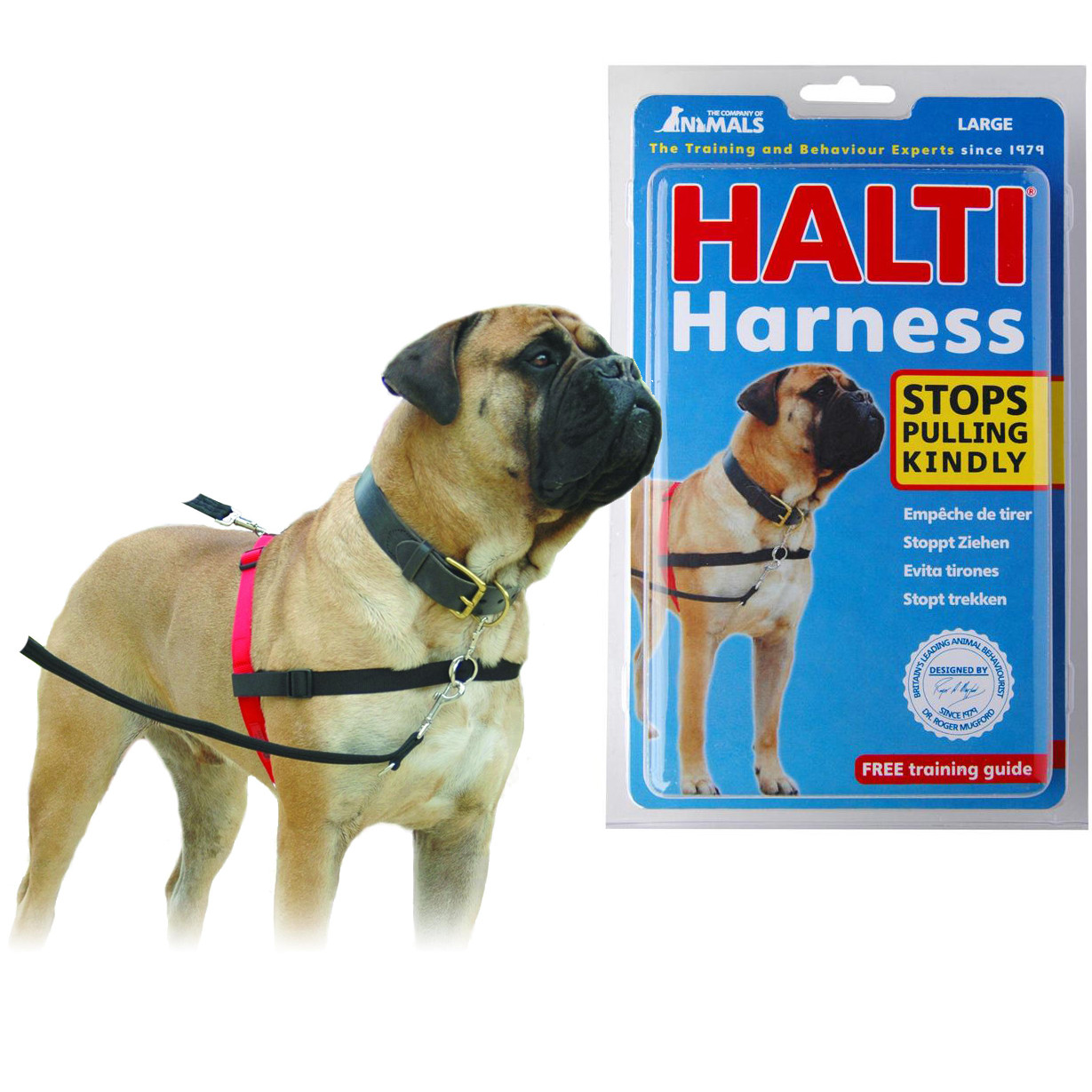 HARNAIS ANTI TRACTION – Le chien choyer