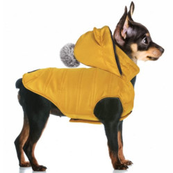 Manteau Kimi curry