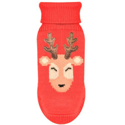 Pull Santa rose
